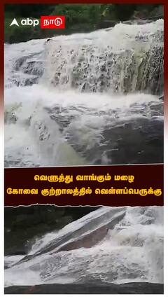 வெளுத்து வாங்கும் மழை.. கோவை குற்றாலத்தில் வெள்ளப்பெருக்கு