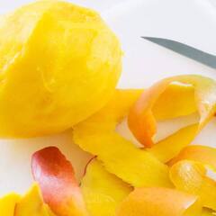 Mango's Peel Benefits : ਅੰਬ ਦੇ ਨਾਲ਼ ਨਾਲ਼ ਇਸਦੀ ਗਿਟਕ ਅਤੇ ਛਿਲਕਿਆਂ ਦੇ ਵੀ ਹਨ ਅਣਗਿਣਤ ਫਾਇਦੇ