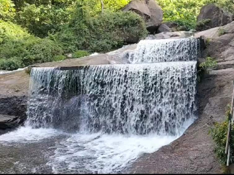 Tourists banned due to flooding at Covai kutralam waterfalls கோவை குற்றால அருவிகளில் வெள்ளப்பெருக்கு.. சுற்றுலா பயணிகளுக்கு தடை