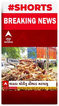 Surat News । સુરત વનવિભાગ દ્વારા ખેરના લાકડા ચોરીનું નેટવર્ક ઝડપી પાડવામાં આવ્યું