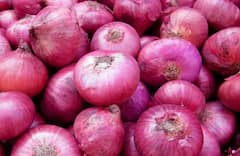 शेतकऱ्यांना दिलासा! कांद्याला झळाळी, कोणत्या बाजारात किती दर?