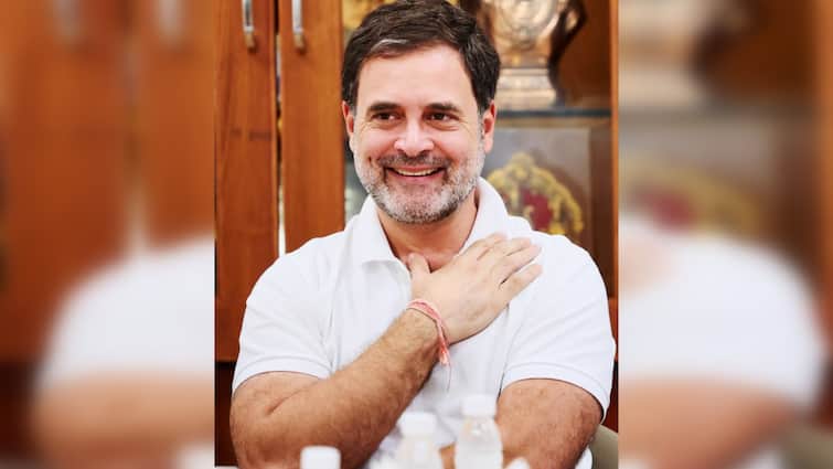 What Powers Does RaGa Have As Leader Of Opposition In Lok Sabha? What Will Be His Salary? What Powers Does RaGa Have As Leader Of Opposition In Lok Sabha? What Will Be His Salary?