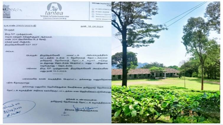 Manjolai Tea Estate Corporation is not subject to jurisdiction Managing Director informs - TNN மாஞ்சோலை தேயிலை தோட்ட கழகத்தை எடுத்து நடத்துவது அதிகார வரம்பிற்கு உட்பட்டது அல்ல - நிர்வாக இயக்குனர் பகீர் தகவல்