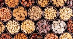 બાળકોને કઇ ઉંમરથી ડ્રાયફૂટ્સ ખવડાવવા જોઇએ? જાણો શું કહે છે એક્સપર્ટ્સ