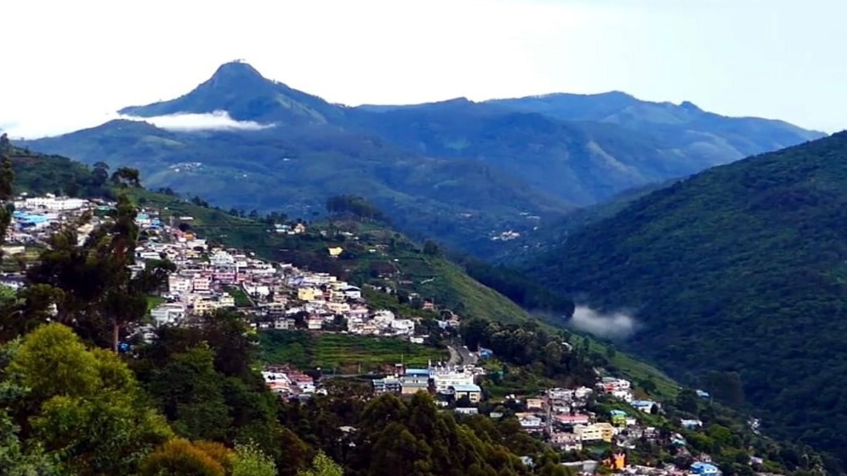 கொடைக்கானலில் தொடரும் போதை காளான் விற்பனை -  காவல்துறை கண்டுகொள்ளுமா?