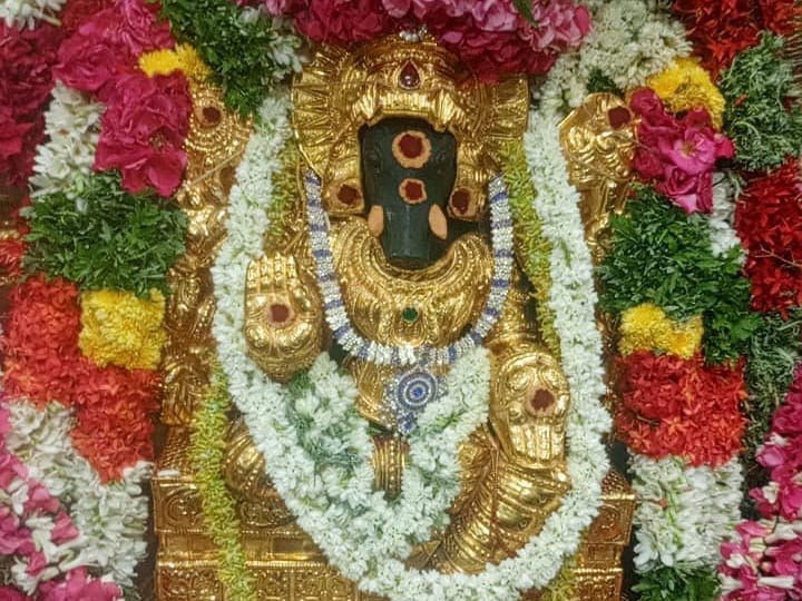 கரூர் கற்பக விநாயகர் ஆலய வாராகி அம்மனுக்கு ஆனி மாத பஞ்சமி திதி அபிஷேகம்