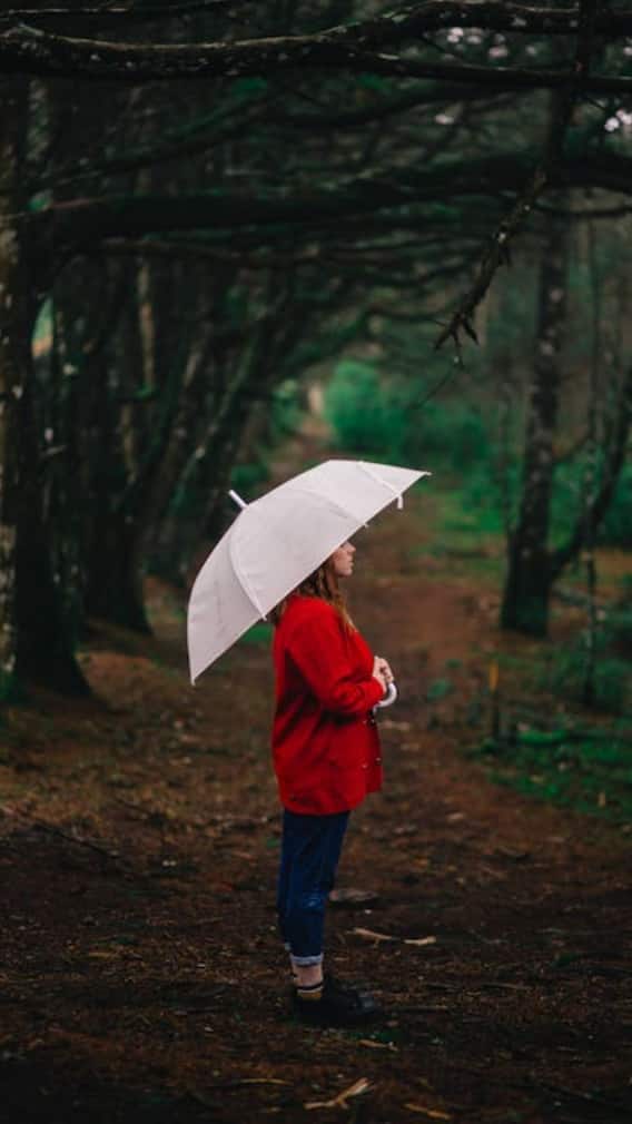 ਪੰਜਾਬ ਦੇ ਆਹ ਜ਼ਿਲ੍ਹੇ ਹੋਣਗੇ ਜਲਥਲ, ਜਾਣੋ ਮੌਸਮ ਦਾ ਹਾਲ