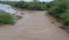 Devbhumi Dwarka: દ્વારકા જિલ્લામાં જામ્યો વરસાદી માહોલ, કલ્યાણપુર તાલુકામાં ધોધમાર વરસાદ