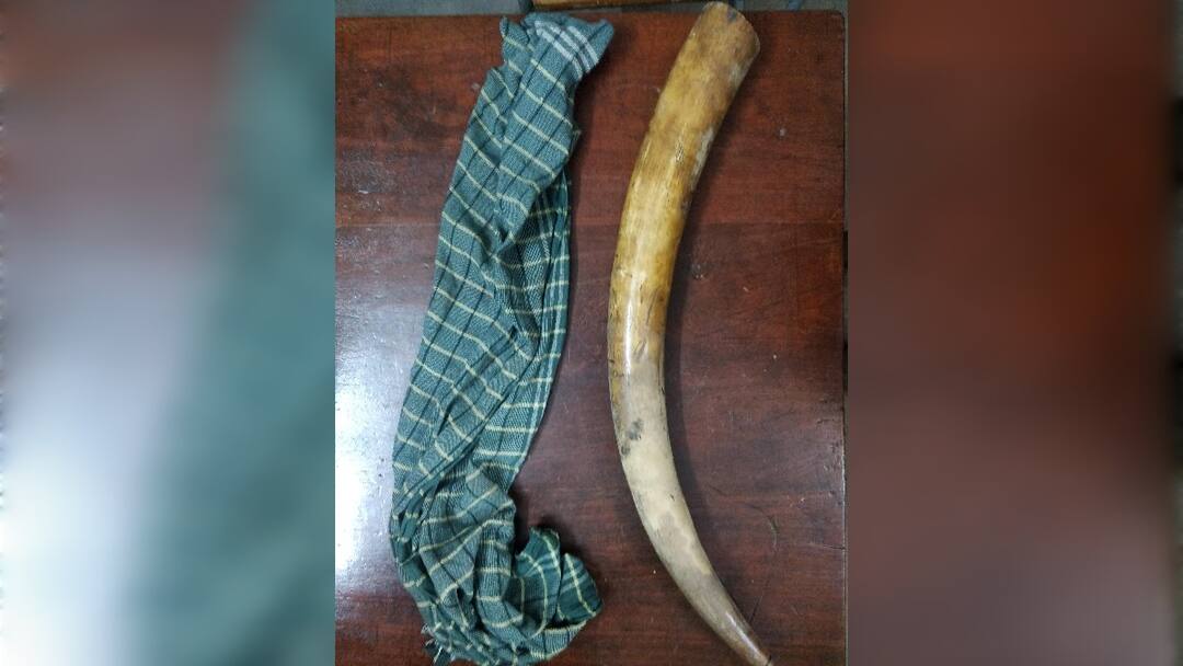 Crime: காவல் நிலையத்துக்கு கிடைத்த துப்பு! சேஸிங் செய்து கடத்தல் கும்பலை பிடித்த போலீஸ்! - யானை தந்தம் மீட்பு