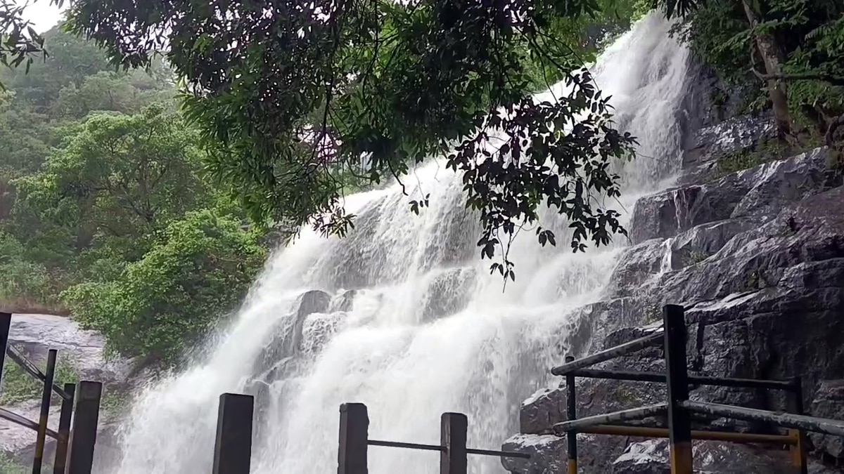 Suruli falls: பருவ மழை அதிகரிப்பால் சுருளி அருவியில் வெள்ளப்பெருக்கு -  சுற்றுலா பயணிகள் குளிக்க  தடை