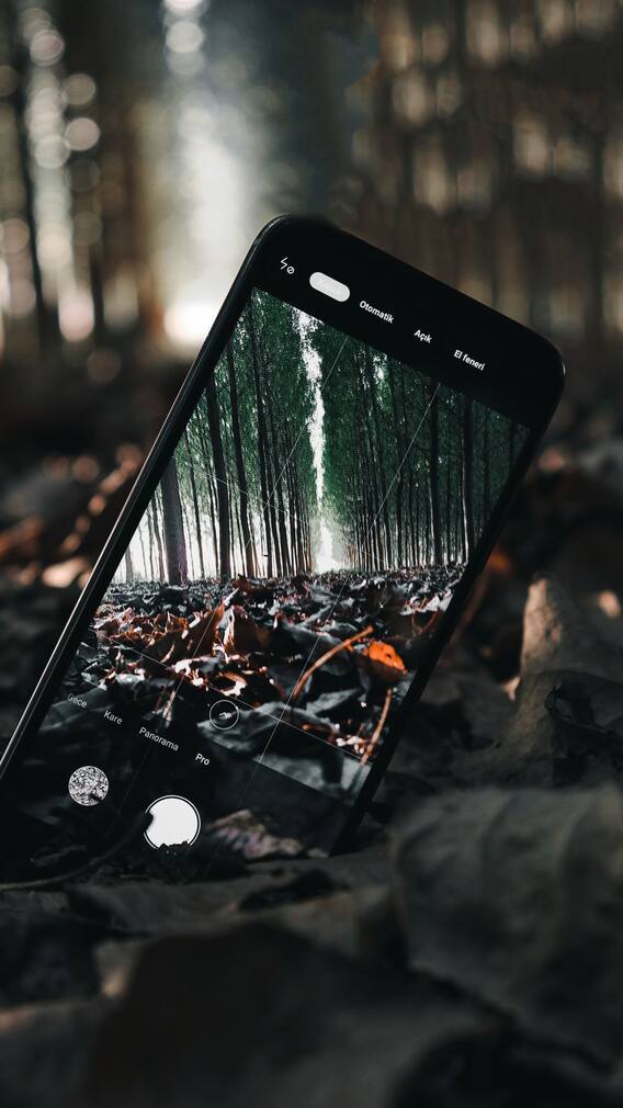 5 Best Phones Under Rs 20,000 (June 2024)