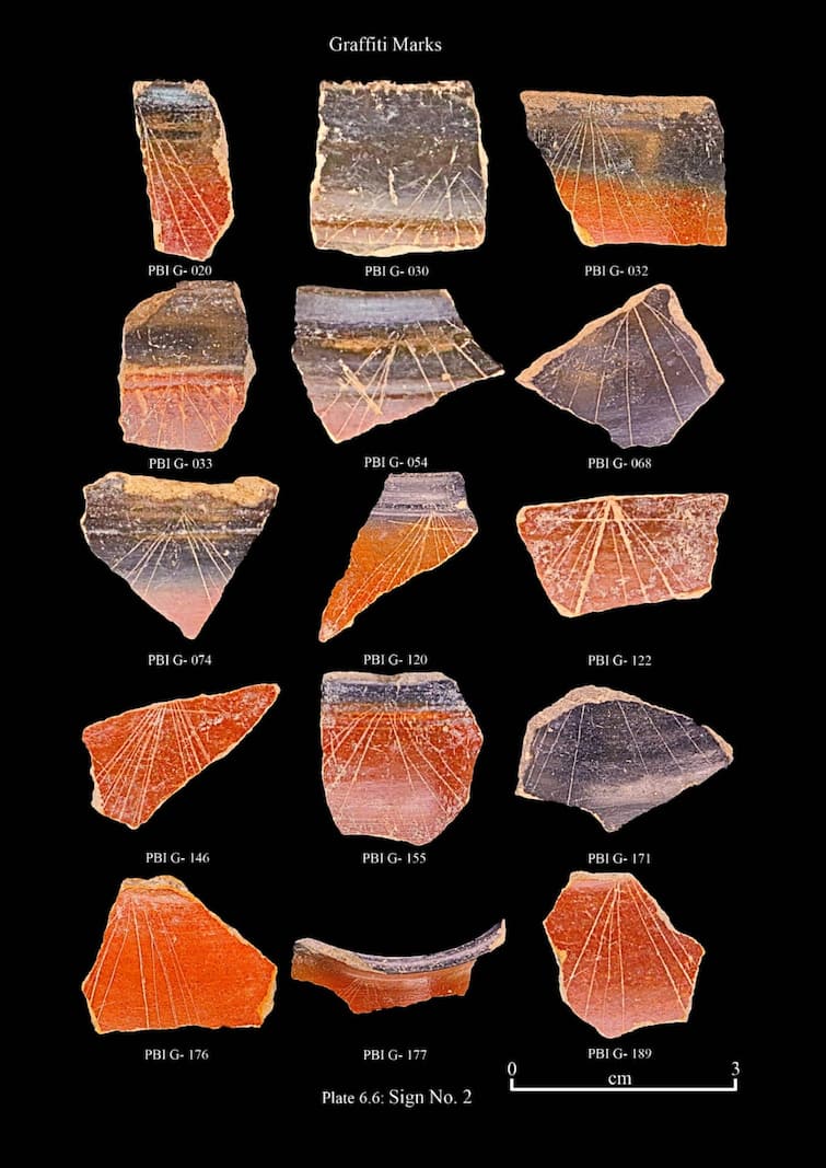 Dharmapuri news perumbalai excavations fascinated explorers  pot symbols - TNN பெரும்பாலை அகழாய்வில் ஆய்வாளர்களை கவர்ந்த பானை குறியீடுகள்
