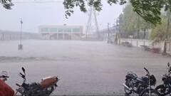 ગુજરાત સહિત 14 રાજ્યોમાં તૂટી પડશે વરસાદ, આગામી ત્રણથી ચાર દિવસમાં ચોમાસું....