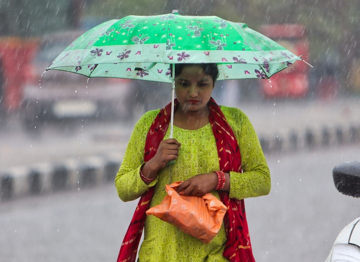 नई दिल्ली में गुरुवार, 27 जून, 2024 को बारिश के दौरान खुद को बचाने के लिए एक पैदल यात्री छाते का उपयोग करता हुआ। (छवि स्रोत: पीटीआई)