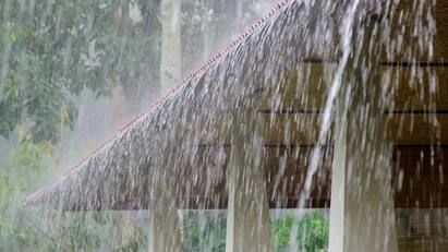 nilgiris collector announced holiday in 2 taluk schools for heavy rain School Holiday: தொடரும் கனமழை - நீலகிரியில் 2 தாலுகாக்களில் பள்ளிகளிக்கு இன்றும் விடுமுறை!