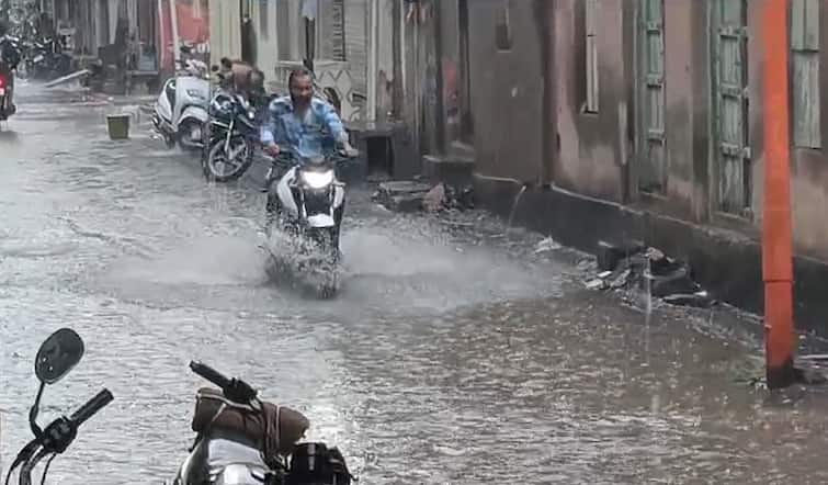 Heavy Rainfall in Manavadar and Mendarda  Junagadh Rain: માણાવદર અને મેંદરડામાં મૂશળધાર વરસાદ વરસ્યો 