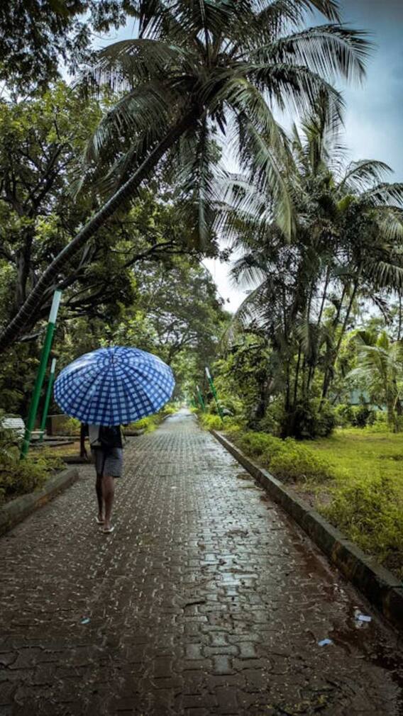 ਫਿਰ ਹੁੰਮਸ ਕਰੇਗੀ ਤੰਗ, ਇੰਨੀ ਤਰੀਕ ਤੋਂ ਫਿਰ ਪਵੇਗਾ ਮੀਂਹ, ਜਾਣੋ ਮੌਸਮ ਦਾ ਹਾਲ