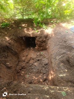 छत्तीसगढ़ के जंगल में पत्तों के नीचे मिला नक्सलियों का सुरंग, वहां मिले सामान को देख पुलिस के उड़ गए होश