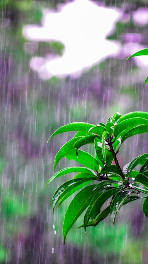 ਪੰਜਾਬ ਦੇ ਇਨ੍ਹਾਂ ਜ਼ਿਲ੍ਹਿਆਂ 'ਚ ਪਵੇਗਾ ਮੀਂਹ, ਲੋਕਾਂ ਨੂੰ ਗਰਮੀ ਤੋਂ ਮਿਲੇਗੀ ਰਾਹਤ