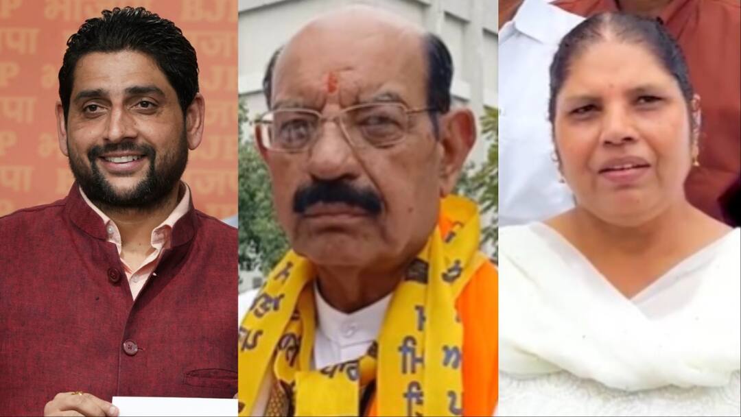 Jalandhar West Bypoll 2024 after one candidate withdrew his nomination 15 candidates are in fray In Punjab Jalandhar West Bypoll 2024: जालंधर वेस्ट उपचुनाव में मैदान में हैं 15 उम्मीदवार, किसके बीच मुकाबला?