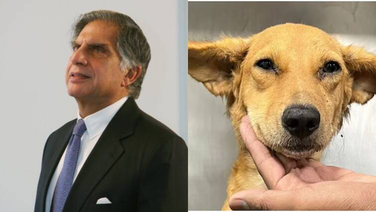 Ratan Tata Seeks Mumbai’s Assistance For Ailing Dog’s Blood Donation; Post Goes Viral