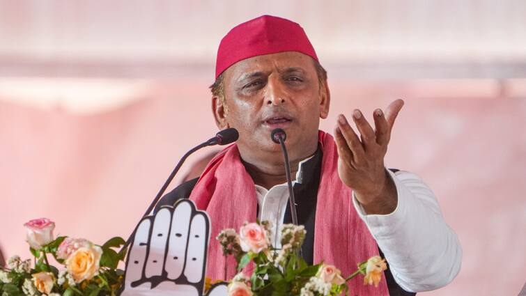 UP By Election 2024 Samajwadi party Awadhesh Prasad son Ajit candidate Milkipur Chaya verma Katehari ann उपचुनाव में मिल्कीपुर से अवधेश प्रसाद के बेटे को सपा दे सकती है टिकट, कटेहरी सीट से ये नाम आगे