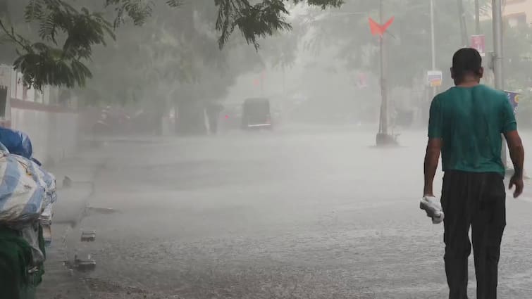 meteorological department heavy rains gujarat next 5 days સાયકલોની સર્ક્યુલેશન સિસ્ટમ સક્રિય થતા રાજ્યમાં આગામી 5 દિવસ આ વિસ્તારમાં ભારેથી અતિભારે વરસાદ પડશે