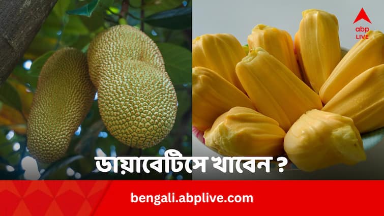 Health Tips Jackfruit In Diabetes Know Whether Eating Jackfruit Good Or Bad In Sugar Jackfruit In Diabetes: ডায়াবেটিসে কাঁঠাল খাওয়া যায় ? কতটা খাবেন নাকি খাবেন না