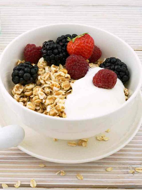 दही में कौन से बैक्टीरिया होते हैं?