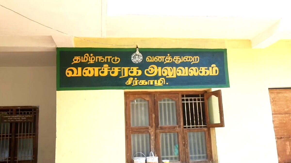 கடல் அட்டை கடத்தி விற்பதற்கு பிரதான காரணமே இதுதான் - அப்படி என்ன ஸ்பெஷல்..?