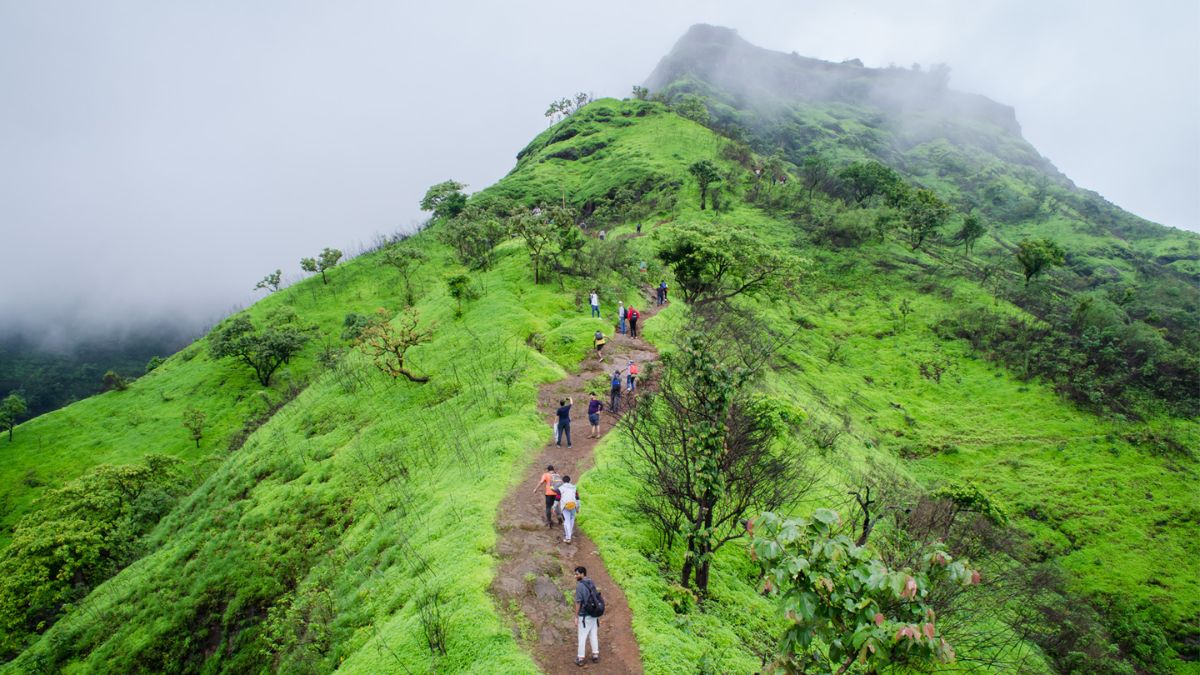 Monsoon Trek : टेन्शन विसराल.. मूड होईल फ्रेश... मान्सून ट्रेकिंगची मजा होईल दुप्पट! फक्त 'या' सेफ्टी टिप्स फॉलो करा