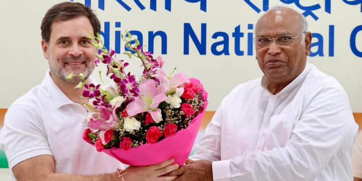 अब राहुल गांधी नेता प्रतिपक्ष बने हैं और उन्हें कैबिनेट मिनिस्टर के बराबर सैलरी मिलेगी, जबकि अमेठी हारने के बाद स्मृति ईरानी पूर्व सांसद के तौर पर पेंशन पाएंगी. सैलरी एंड अलाउंसेज ऑफ एलओपी पार्लियामेंट एक्ट 1977 के अनुसार नेता प्रतिपक्ष को केंद्रीय मंत्री के बराबर सैलरी के साथ उनके जैसी सुविधायें भी मिलती हैं. यहां केंद्रीय राज्य मंत्री और स्वतंत्र प्रभार की बात नहीं हो रही है.