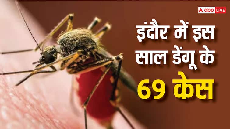Indore health Department Said 69 Dengue Cases reported so far this year Madhya Pradesh ANN इंदौर स्वास्थ्य विभाग की बड़ी लापरवाही! डेंगू के 10 केस बताकर बटोरी वाहवाही, अब सामने आए 69 मामले