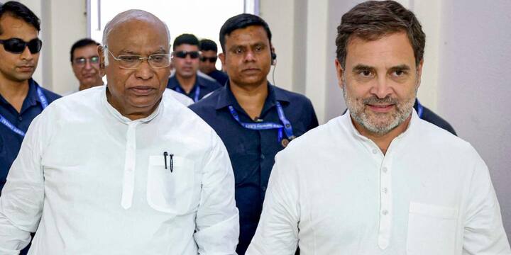 राहुल गांधी प्रवर्तन निदेशालय, सीबीआई, सीवीसी और सीआईसी जैसी संवैधानिक एजेंसियों के प्रमुखों की नियुक्ति के लिए बनाई गई कमेटी का हिस्सा होंगे. इस कमेटी में प्रधानमंत्री भी शामिल होते हैं.