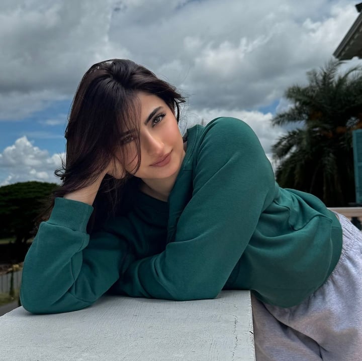 पलक तिवारी अपने काम के साथ-साथ सोशल मीडिया पर भी काफी एक्टिव रहती हैं. हाल ही में उन्होंने अपने लेटेस्ट फोटोशूट से कुछ तस्वीरें इंस्टाग्राम हैंडल पर शेयर की.