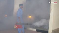 क्या धुएं वाली गाड़ी से वाकई मर जाते हैं सारे मच्छर?