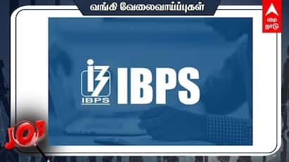 IBPS RRB Clerk Vacancy 2024 Tamil Nadu Total 377 Vacancy Check details and Apply IBPS RRB Clerk Vacancy: அரசு, தனியார் வங்கிகளில் வேலை 9,995 பணியிடங்கள்- விண்ணப்பிக்க 2 நாட்கள்தான்!- எப்படி?