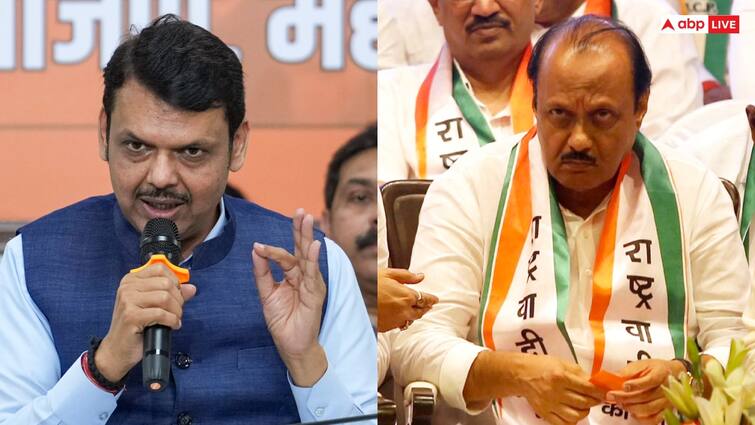 Remove Ajit Pawar from NDA alliance BJP leader demand NCP furious Video goes viral '...अजित पवार को करें बाहर', बीजेपी नेता ने पार्टी बैठक में कर दी बड़ी मांग, भड़की NCP