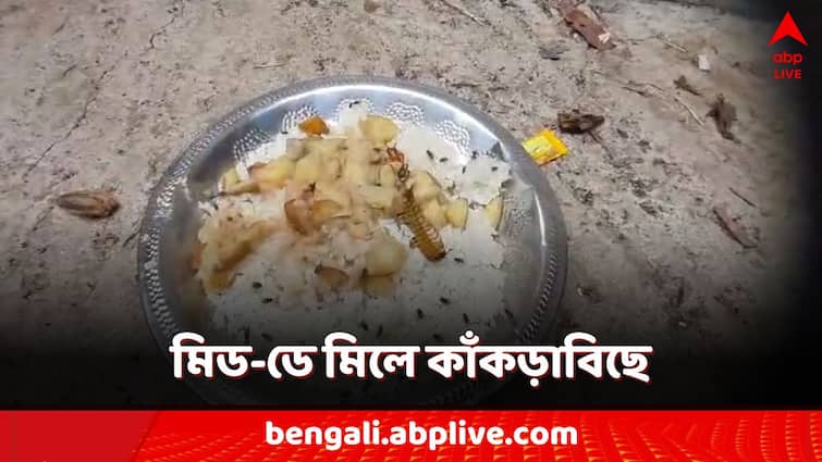 Bankura mid day meal agitation it was alleged that there was a scorpion in the food district news Bankura News: পড়ুয়ার পাতে কাঁকড়াবিছে! মিড-ডে মিল নিয়ে তুলকালাম বাঁকুড়ায়