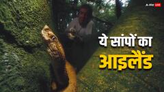 इसे कहते हैं सांपों का आइलैंड, यहां से जिंदा लौटना है मुश्किल