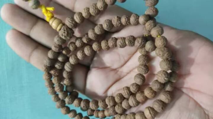 नेपाल के कुछ स्थानीय लोग खुद बोधिचित्त की माला तैयार करते हैं. माला में इस्तेमाल होने वाला बोधिचित्त का बीज 13 मिलीमीटर से 16 मिलीमीटर तक का होता है. जानकारी के मुताबिक, ये 50 डॉलर से 200 डॉलर तक में बिक जाता है. इसके सबसे बड़े बीज सबसे महंगे होते हैं. ये 800 अमेरिकी डॉलर तक में बिकते हैं. बौद्ध धर्म के लोग सबसे ज्यादा इसका इस्तेमाल करते हैं.