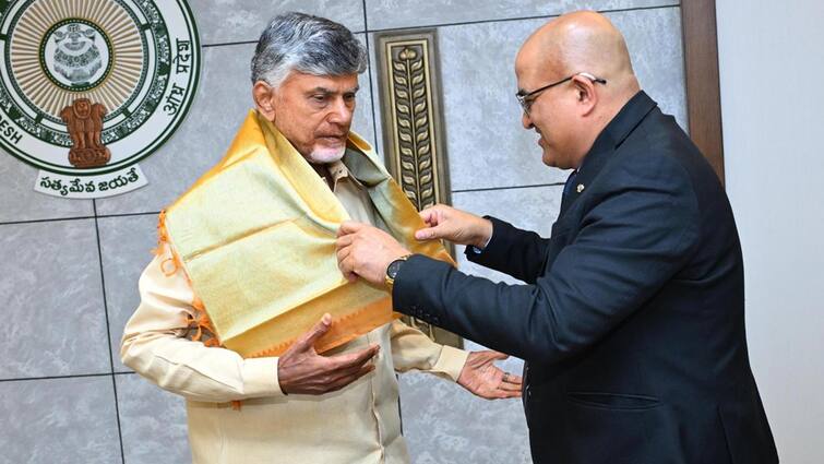 Mangalagiri aims director meets CM Chandrababu in AP Secretariat Chandrababu: మంగళగిరి ఎయిమ్స్‌కు ఉన్న ఇబ్బందులేంటి? చంద్రబాబుకు వివరించిన ఎయిమ్స్ డైరెక్టర్