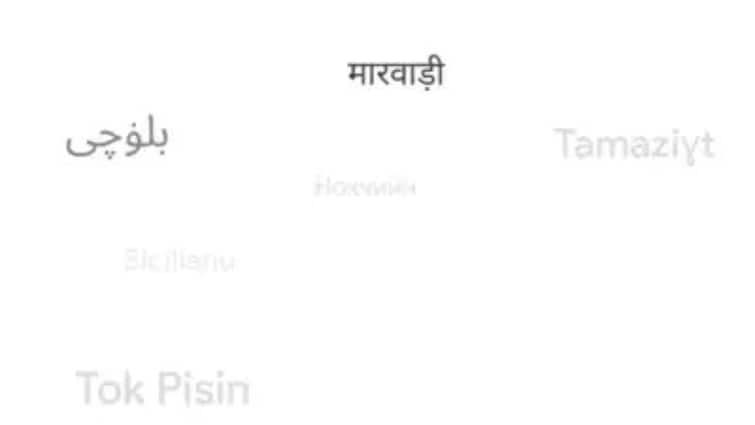 Google Translate Now Supports 110 More Languages, Including Marwari, Punjabi, Awadhi