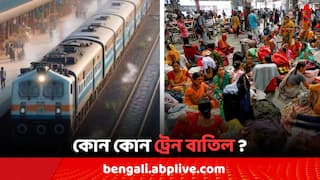 South Eastern Railway: আগামীকাল থেকে ২৪০ টি ট্রেন বাতিল, জরুরি ঘোষণা রেলের, যাত্রী দুর্ভোগের আশঙ্কা..
