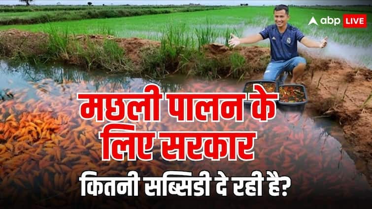 subsidy on fish farming government gives this much subsidy to farmers for fish farming मछली पालन पर कितनी सब्सिडी देती है सरकार?