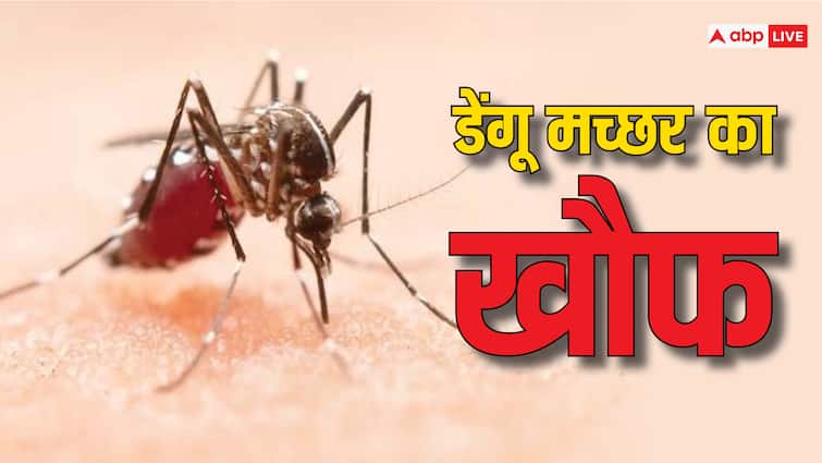 health tips how long after dengue mosquito bite symptoms appear know treatment Dengue: डेंगू मच्छर के काटने के कितनी देर बाद शुरू होता है असर? जानें लक्षण और बचाव