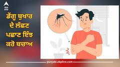 Dengue: ਮਾਨਸੂਨ ਦੇ ਆਉਣ ਨਾਲ ਸਤਾਉਣ ਲੱਗਾ ਡੇਂਗੂ ਦਾ ਡਰ, ਇਸ ਸੂਬੇ 'ਚ ਤੇਜ਼ੀ ਨਾਲ ਵੱਧੇ ਮਾਮਲੇ, ਇੰਝ ਕਰੋ ਆਪਣੇ ਪਰਿਵਾਰ ਦਾ ਬਚਾਅ