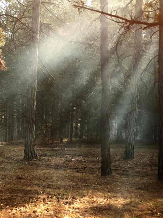 बारिश में धूप कैसे निकलती है?