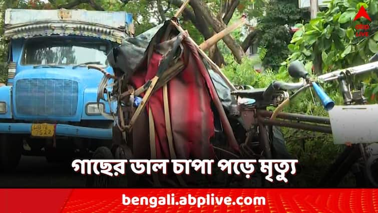 Kolkata Golfgreen Accident rickshaw driver was crushed to death by a branch of a tree in Rai Kolkata Accident: বৃষ্টি থেকে বাঁচতে গাছের তলায় আশ্রয়! সেই গাছের ডাল চাপা পড়েই মর্মান্তিক মৃত্যু