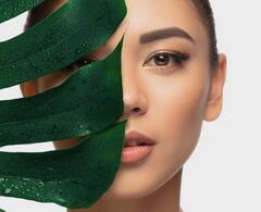 Beauty Tips : ਚਿਹਰੇ ਨੂੰ ਚਮਕਦਾਰ ਬਣਾਉਣ ਲਈ ਇਨ੍ਹਾਂ ਪੱਤੀਆਂ ਦੀ ਵਰਤੋਂ ਜ਼ਰੂਰ ਕਰੋ, ਤੁਹਾਡੇ ਚਿਹਰੇ 'ਤੇ ਵੀ ਨਿਖਾਰ ਆਵੇਗਾ